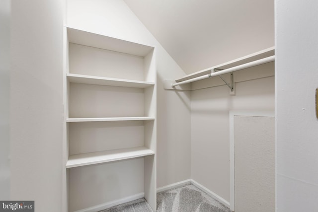 5183 Silver Run Ln, Salisbury, MD 21801 - walk in closet with carpet floors