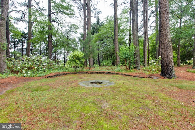 5183 Silver Run Ln, Salisbury, MD 21801 - view of yard