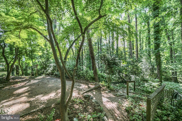 207 Wilderness Ln, Fredericksburg, VA 22401 - view of tree filled area