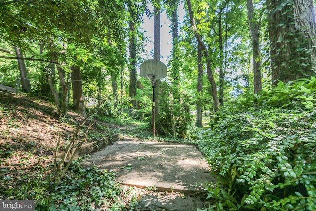 207 Wilderness Ln, Fredericksburg, VA 22401 - view of undeveloped land