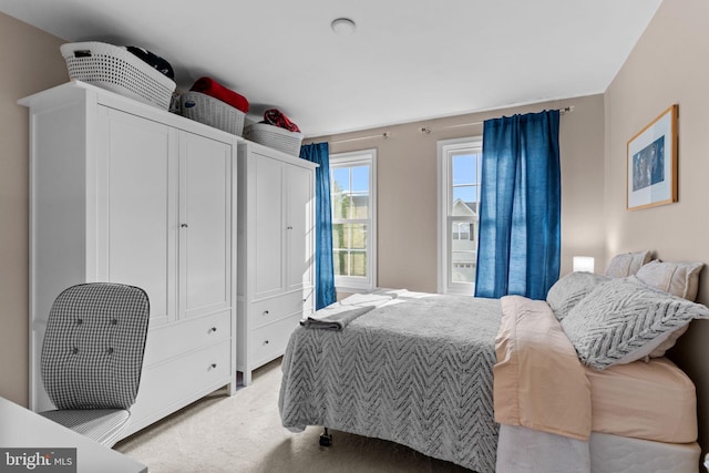 8 Warwick Ct, Newtown, PA 18940 - bedroom featuring carpet floors