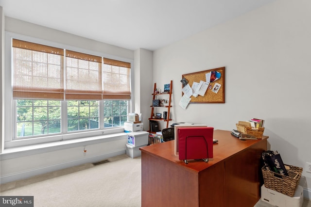 8 Warwick Ct, Newtown, PA 18940 - carpeted office space with baseboards