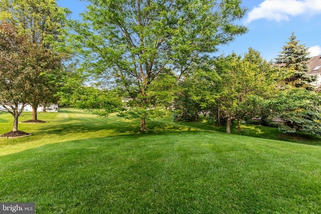 8 Warwick Ct, Newtown, PA 18940 - view of green lawn