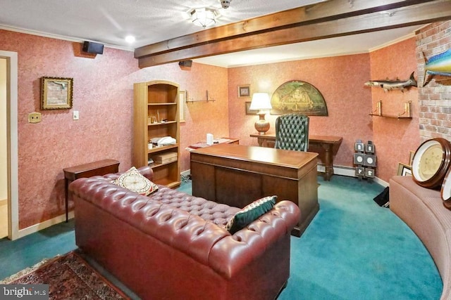 2361 Welsh Rd, Mohnton, PA 19540 - office with dark colored carpet, a baseboard heating unit, and ornamental molding