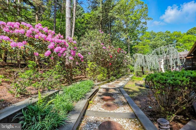 2361 Welsh Rd, Mohnton, PA 19540 - view of yard
