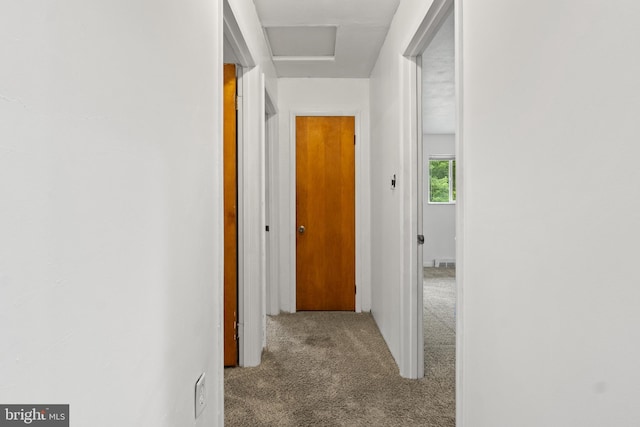30 Halleck Dr, East Berlin, PA 17316 - corridor with carpet and attic access