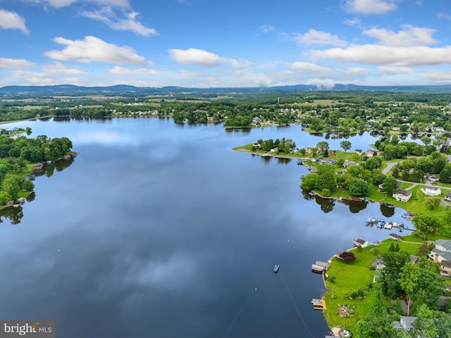 30 Halleck Dr, East Berlin, PA 17316 - aerial view of a large body of water