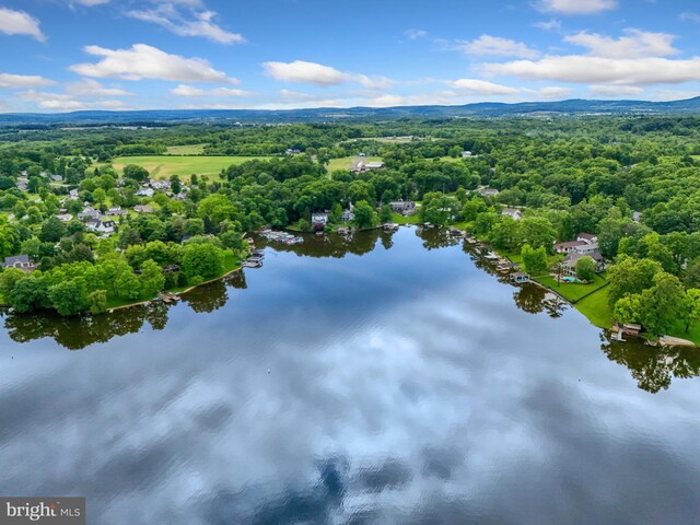 30 Halleck Dr, East Berlin, PA 17316 - aerial view of a large body of water and a heavily wooded area