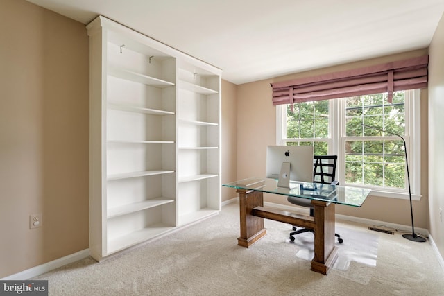 20245 Ordinary Pl, Ashburn, VA 20147 - office with carpet flooring and baseboards