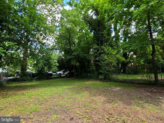 131 Vine St, Bridgeton, NJ 08302 - view of yard