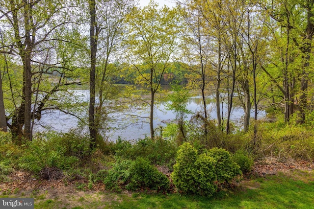144 Cedar Ct, Woolwich Twp, NJ 08085 - water view