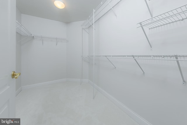 144 Cedar Ct, Woolwich Twp, NJ 08085 - view of spacious closet