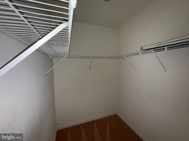 87 Courtyard Dr, Carlisle, PA 17013 - view of spacious closet