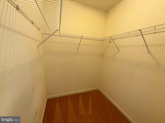 87 Courtyard Dr, Carlisle, PA 17013 - walk in closet with carpet flooring