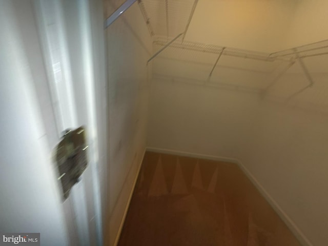 87 Courtyard Dr, Carlisle, PA 17013 - walk in closet with carpet flooring