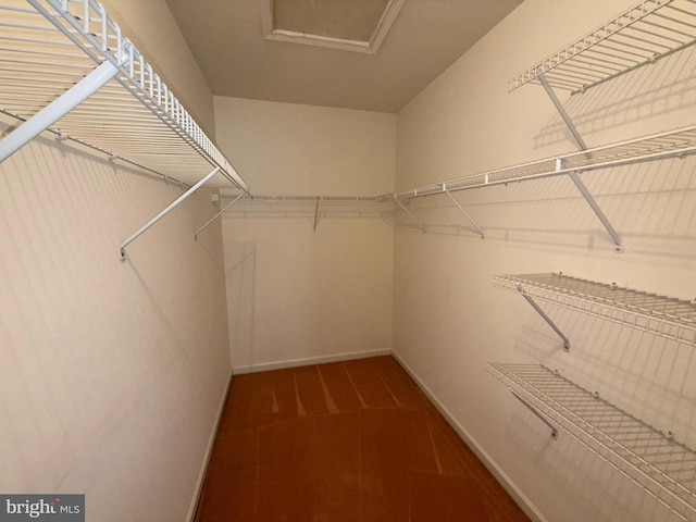 87 Courtyard Dr, Carlisle, PA 17013 - walk in closet with attic access and carpet