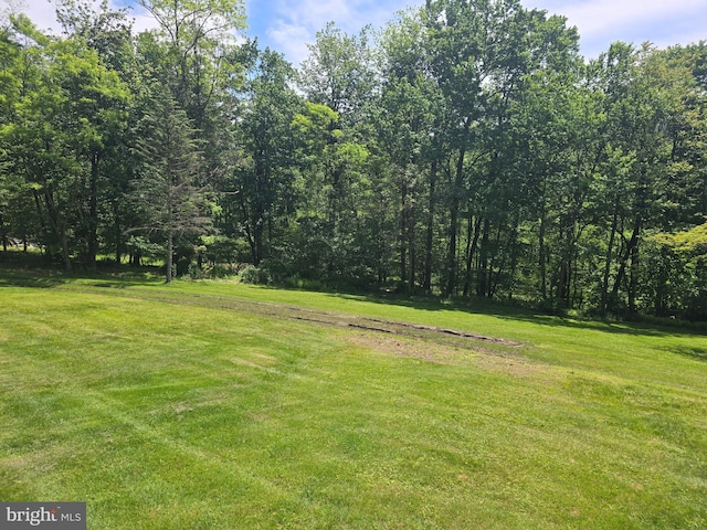 11 Maxwill Ln, Landisburg, PA 17040 - view of grassy yard