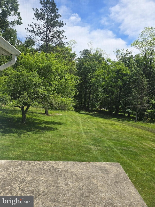 11 Maxwill Ln, Landisburg, PA 17040 - view of green lawn