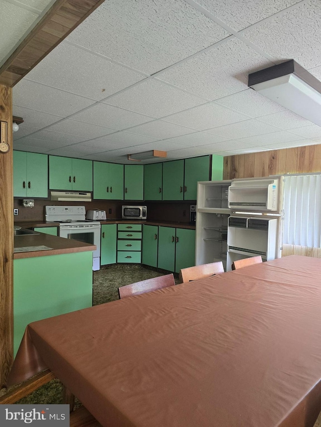 11 Maxwill Ln, Landisburg, PA 17040 - kitchen with electric range, green cabinetry, under cabinet range hood, yellow cabinets, and a drop ceiling