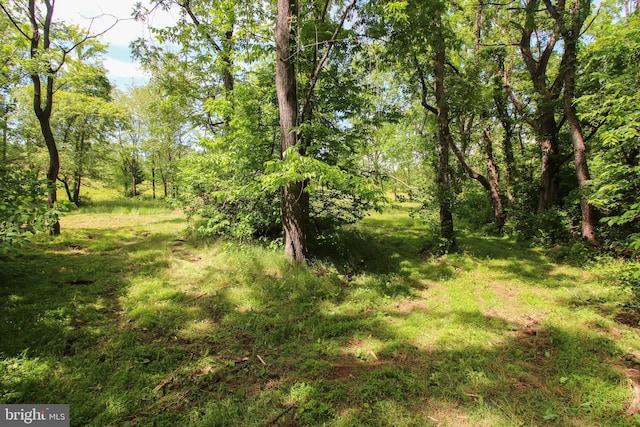 Dodson Rd, Mount Jackson, VA 22842