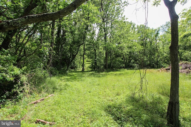 Dodson Rd, Mount Jackson, VA 22842