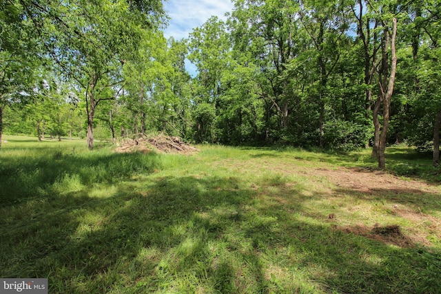Dodson Rd, Mount Jackson, VA 22842