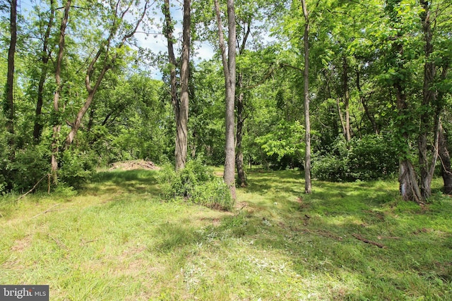 Dodson Rd, Mount Jackson, VA 22842