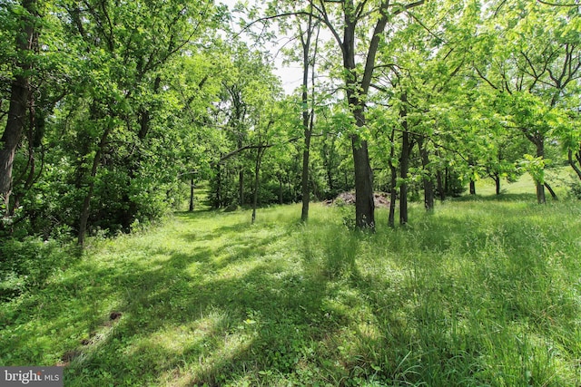 Dodson Rd, Mount Jackson, VA 22842