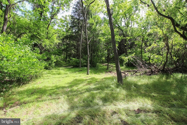 Dodson Rd, Mount Jackson, VA 22842