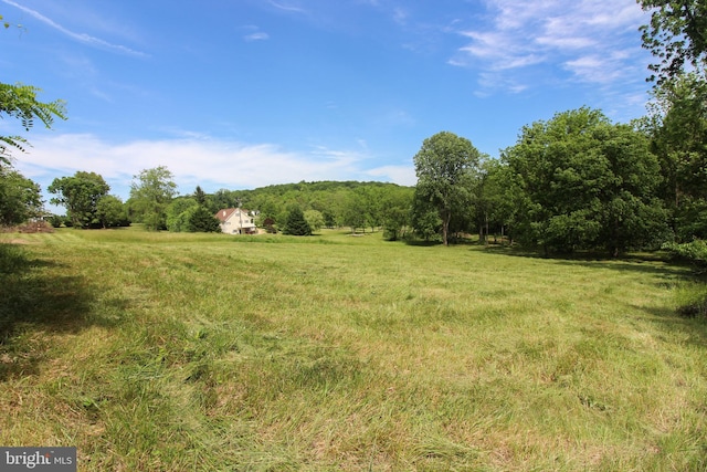 Dodson Rd, Mount Jackson, VA 22842