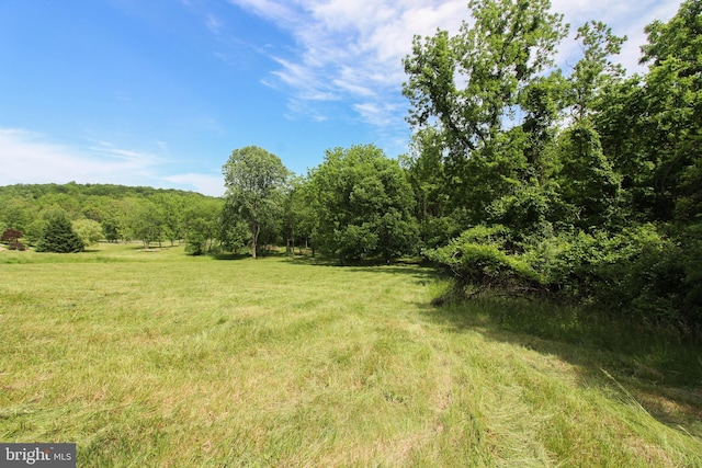 Dodson Rd, Mount Jackson, VA 22842