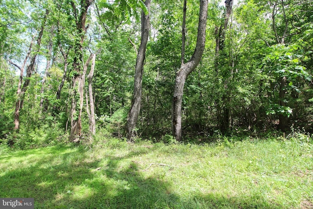 Dodson Rd, Mount Jackson, VA 22842