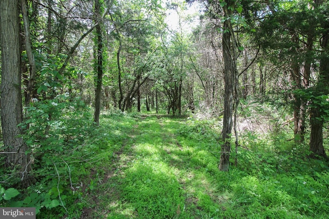 Dodson Rd, Mount Jackson, VA 22842