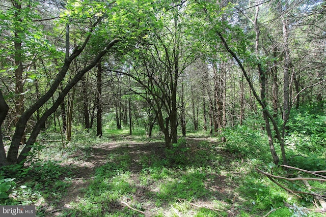 Dodson Rd, Mount Jackson, VA 22842