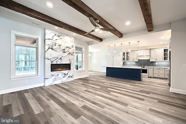 567 Lumber St, Littlestown, PA 17340 - unfurnished living room featuring baseboards, a sink, light wood finished floors, a premium fireplace, and recessed lighting