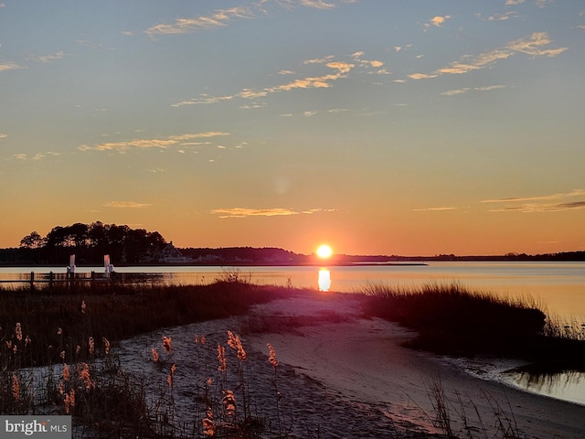 35206 Seagrass Plantation Ln, Dagsboro, DE 19939 - water view