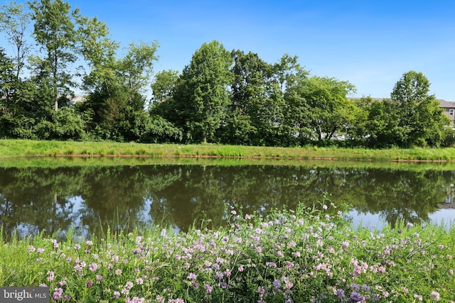 10744 Hinton Way, Manassas, VA 20112 - water view