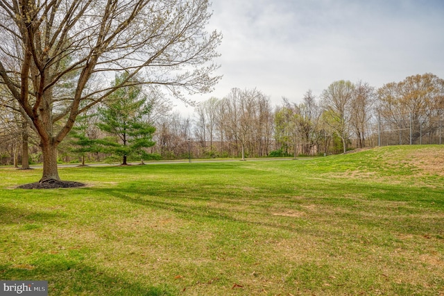 1310 Sheridan Pl Unit 108-17, Bel Air, MD 21015 - view of grassy yard