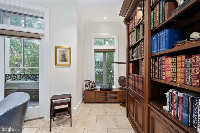 913A Caroline St, Fredericksburg, VA 22401 - detailed view of crown molding and baseboards