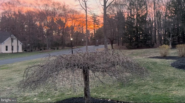 2 Turnberry Way, New Hope, PA 18938 - yard at dusk featuring a yard