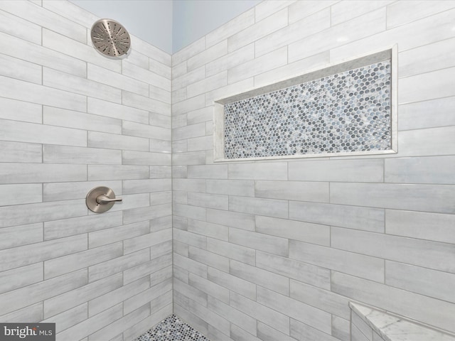2619 Washington Way, Manchester, MD 21102 - bathroom featuring tiled shower
