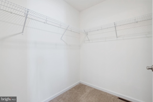 6 Little Way Unit 64, Hanover, PA 17331 - spacious closet with carpet floors