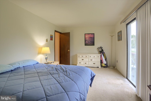 618 Mill Race Ct, Carlisle, PA 17013 - bedroom with carpet flooring