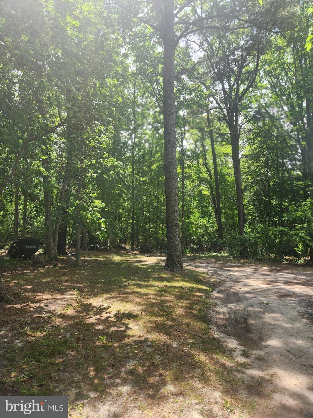 view of street with a wooded view