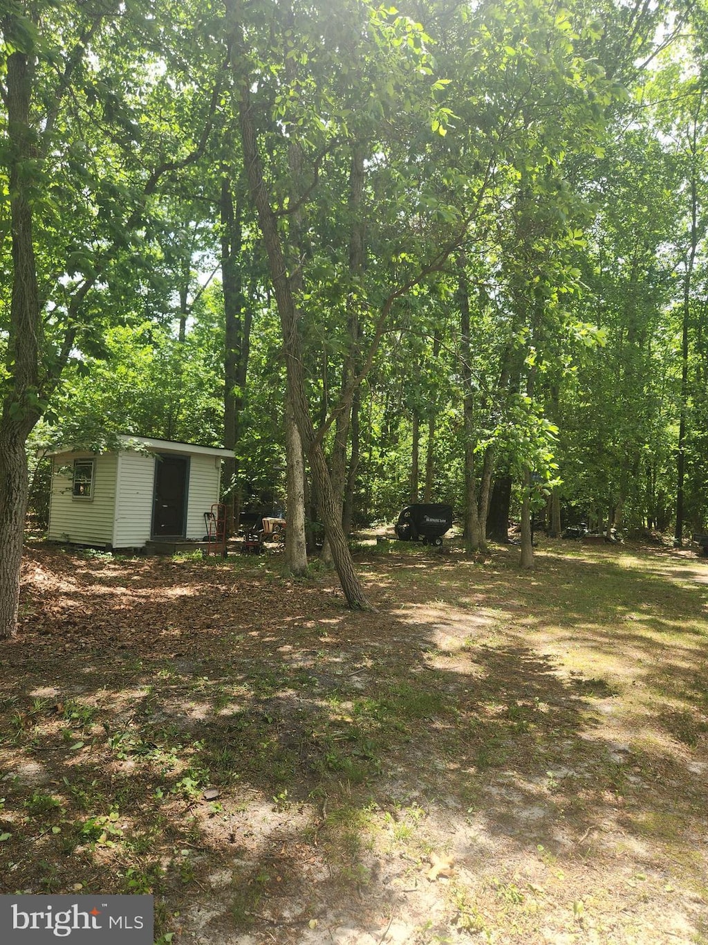 view of yard featuring an outdoor structure
