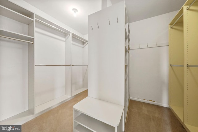 19 Pear Tree Pl, Sewell, NJ 08080 - walk in closet with carpet floors