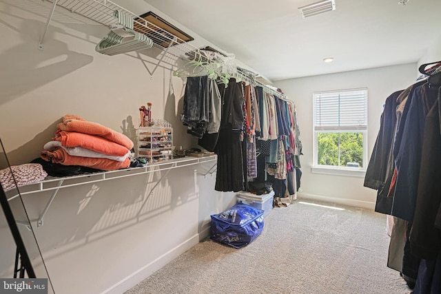 6023 Charles Henry Pl, Hanover, MD 21076 - spacious closet with carpet flooring