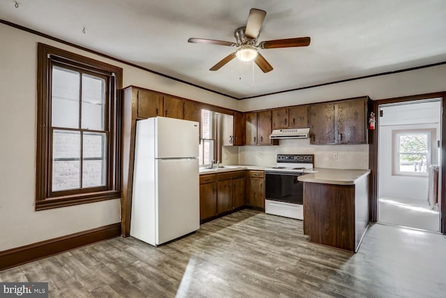 346 Main St, Denver, PA 17517 - kitchen featuring white appliances, under cabinet range hood, light countertops, a peninsula, and wood finished floors