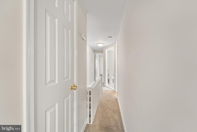 41 Bellevue Ter, Collingswood, NJ 08108 - corridor featuring light carpet