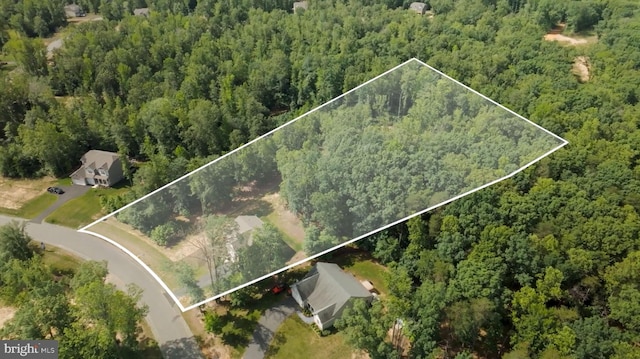 610 Long Meadow Dr, Fredericksburg, VA 22406 - aerial overview of property's location featuring a heavily wooded area and property boundaries highlighted